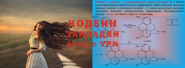 ГАЛЛЮЦИНОГЕННЫЕ ГРИБЫ Аркадак