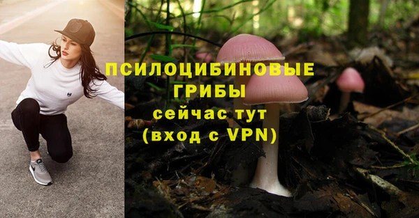 метадон Армянск