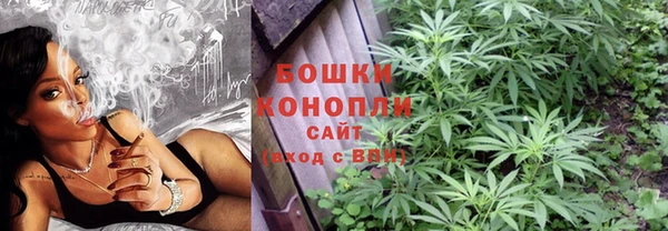 ГАЛЛЮЦИНОГЕННЫЕ ГРИБЫ Аркадак