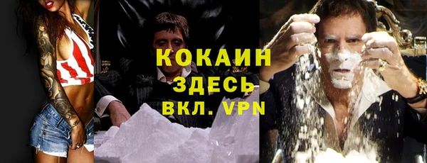 ГАЛЛЮЦИНОГЕННЫЕ ГРИБЫ Аркадак