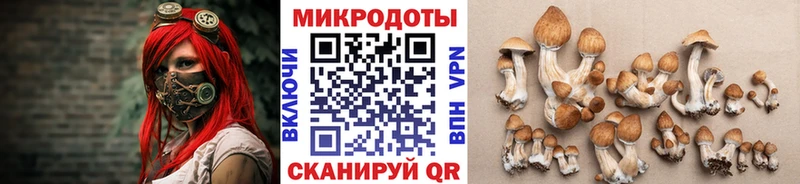 Галлюциногенные грибы мухоморы что такое Духовщина